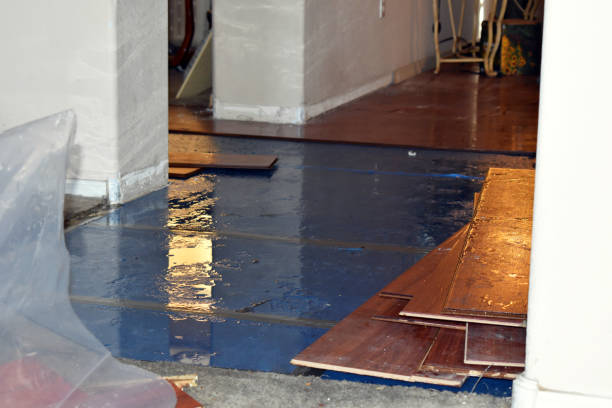 Professional Emergency Water Damage Restoration technician working in Port Hadlock, WA